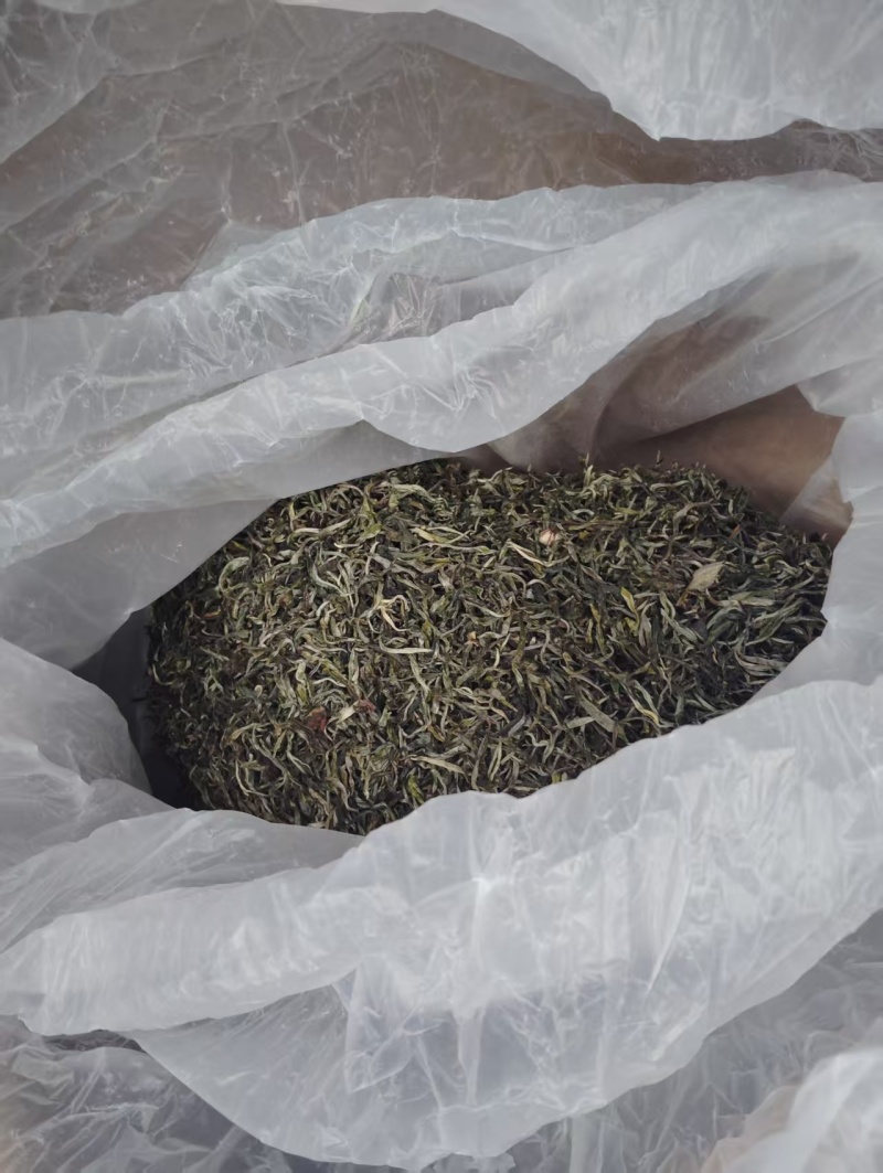茶叶品质保证服务周到产地直发价格美丽