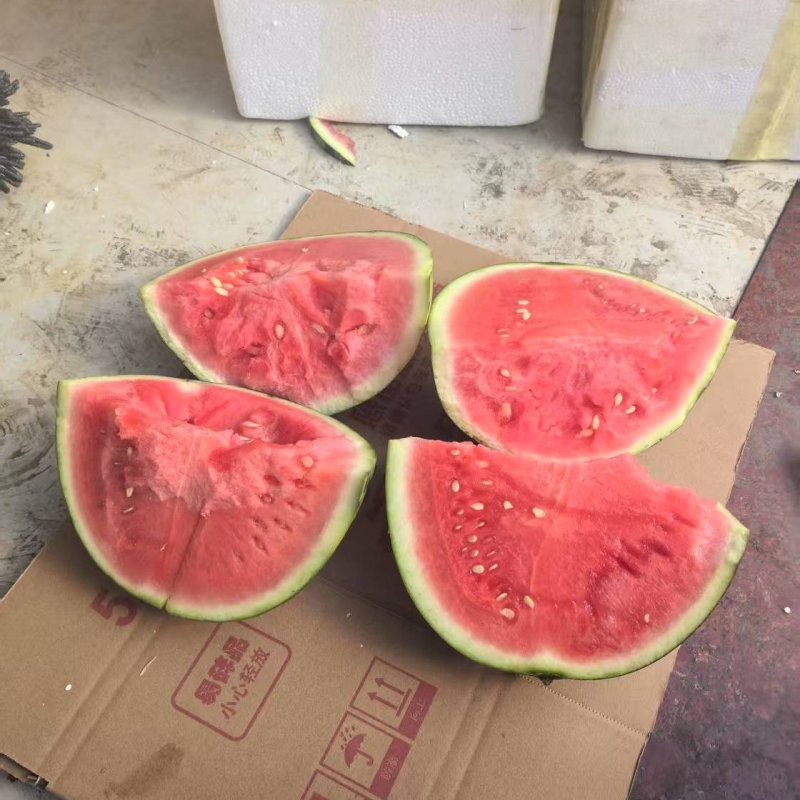 【热卖中】东台嘉年华西瓜现货供应一条龙服务整车发货批发