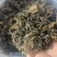 雪里红梅干菜大量供应产期优惠品质保证欢迎来电洽谈