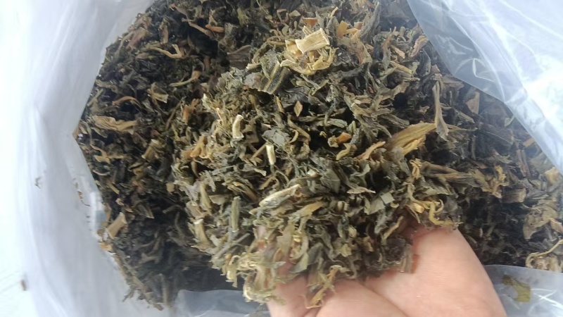 雪里红梅干菜大量供应产期优惠品质保证欢迎来电洽谈