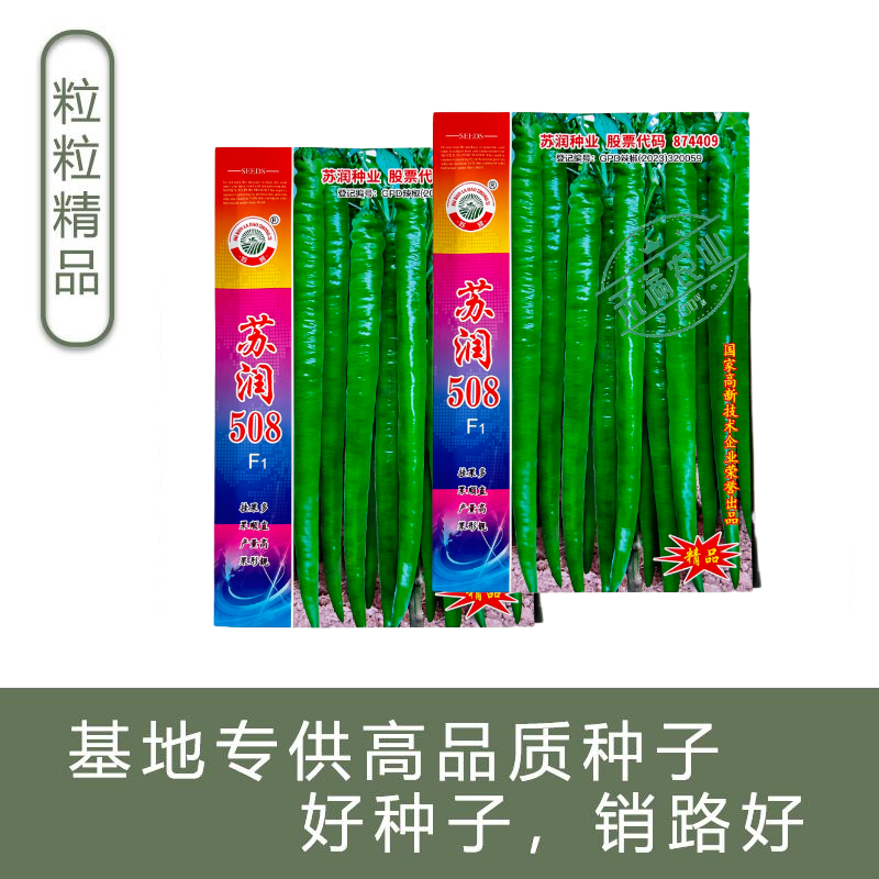 【正品保证】苏润508线椒种子基地**超长线椒种籽