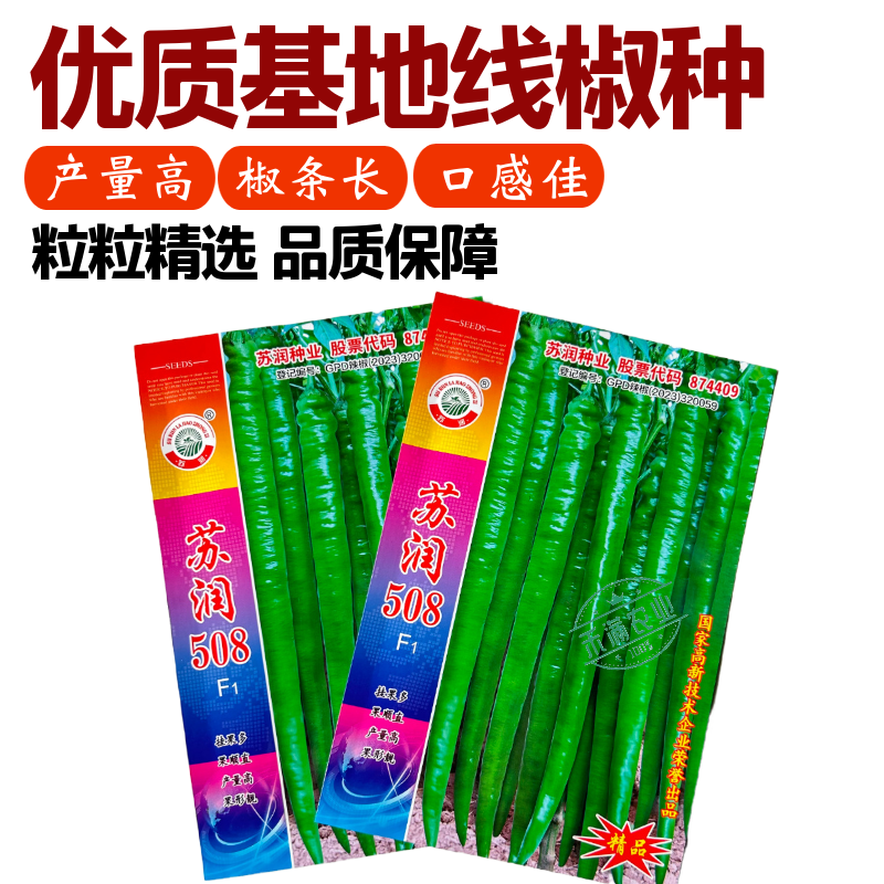 【正品保证】苏润508线椒种子基地**超长线椒种籽