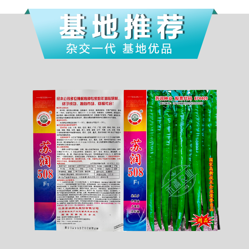 【正品保证】苏润508线椒种子基地**超长线椒种籽