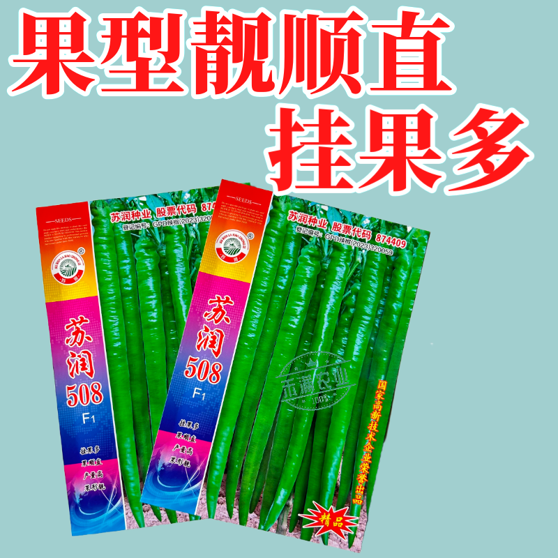 【正品保证】苏润508线椒种子基地**超长线椒种籽