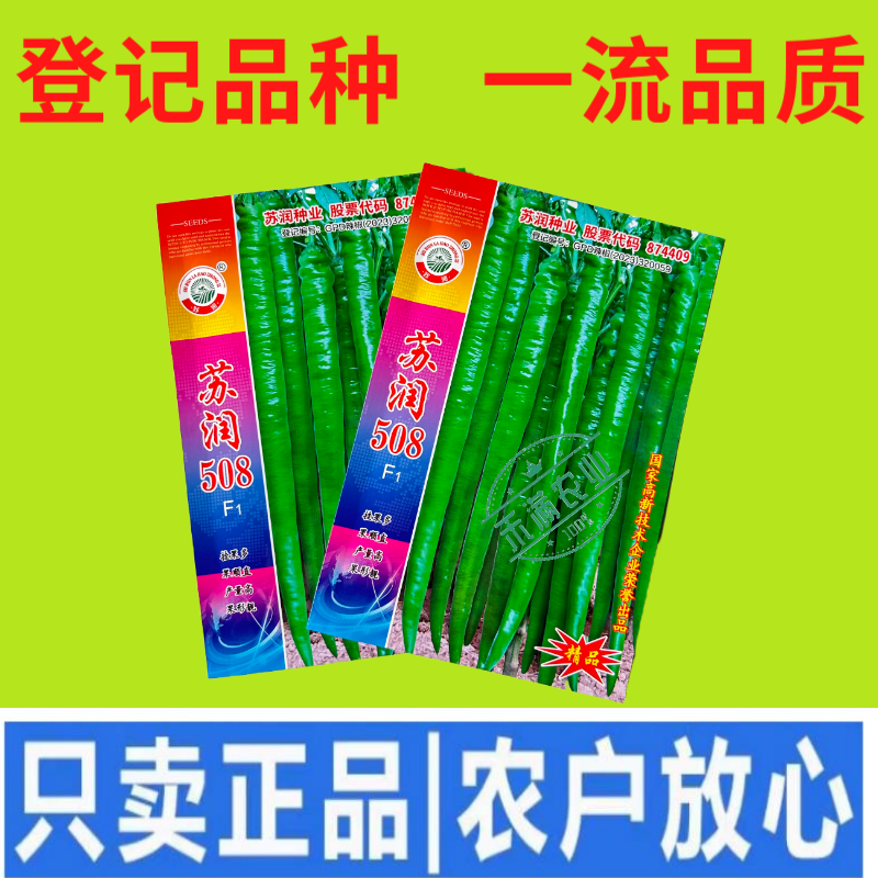 【正品保证】苏润508线椒种子基地**超长线椒种籽