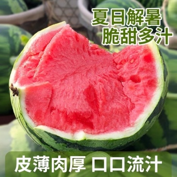 【热卖中】东台嘉年华西瓜现货供应一条龙服务整车发货批发
