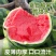 【热卖中】东台嘉年华西瓜现货供应一条龙服务整车发货批发