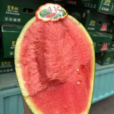 【实力供货】东台甘美4K西瓜产地一手货源稳定供应市场批发