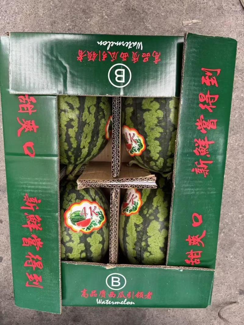 【实力供货】东台甘美4K西瓜产地一手货源稳定供应市场批发