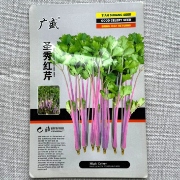 圣秀红芹菜种子实心叶大叶绿叶柄紫红抗病耐抽苔