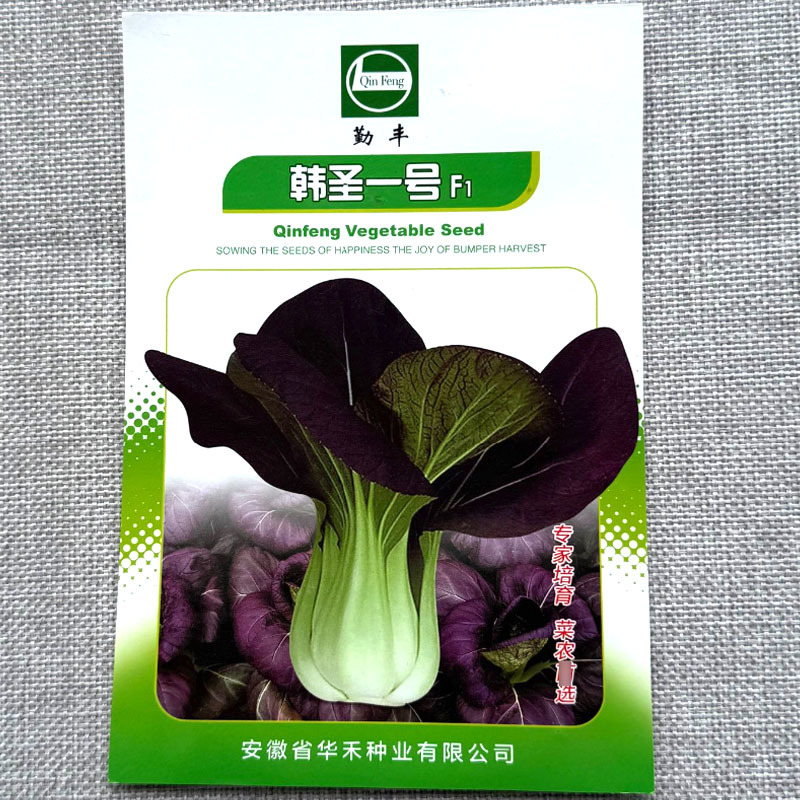 韩圣一号紫油菜种子叶片绿紫色相间叶柄绿白色