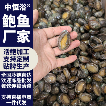 鲜活速冻鲍鱼60-80头鲍鱼工厂供应海鲜水产冻品批发