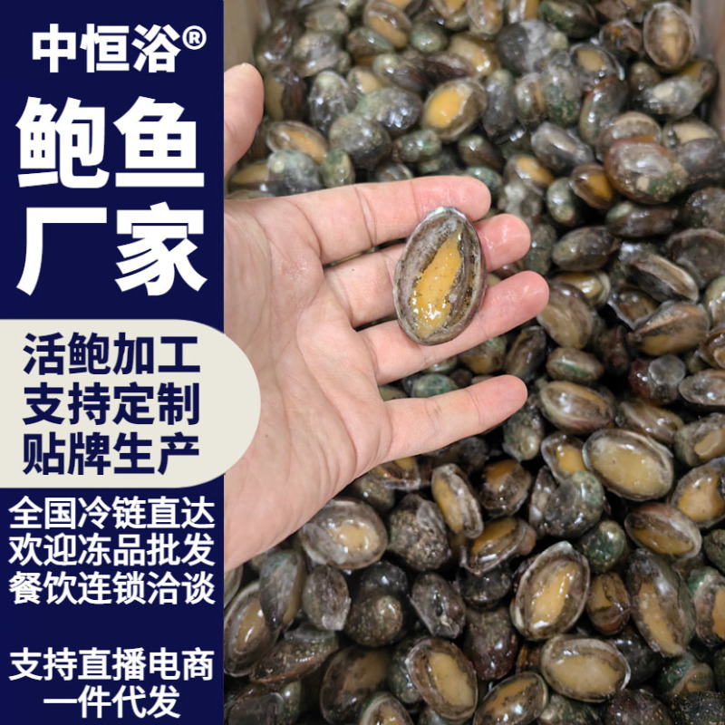 鲜活速冻鲍鱼60-80头鲍鱼工厂供应海鲜水产冻品批发