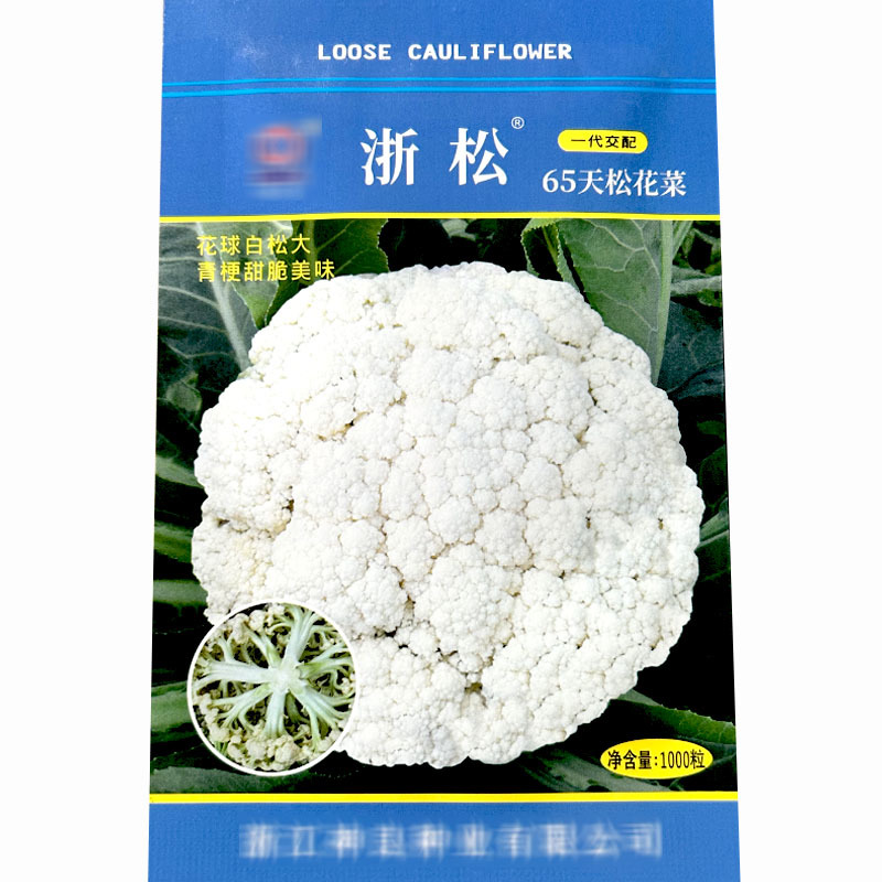 浙松65天青梗花椰菜种子1000粒早中熟耐热白菜花种子