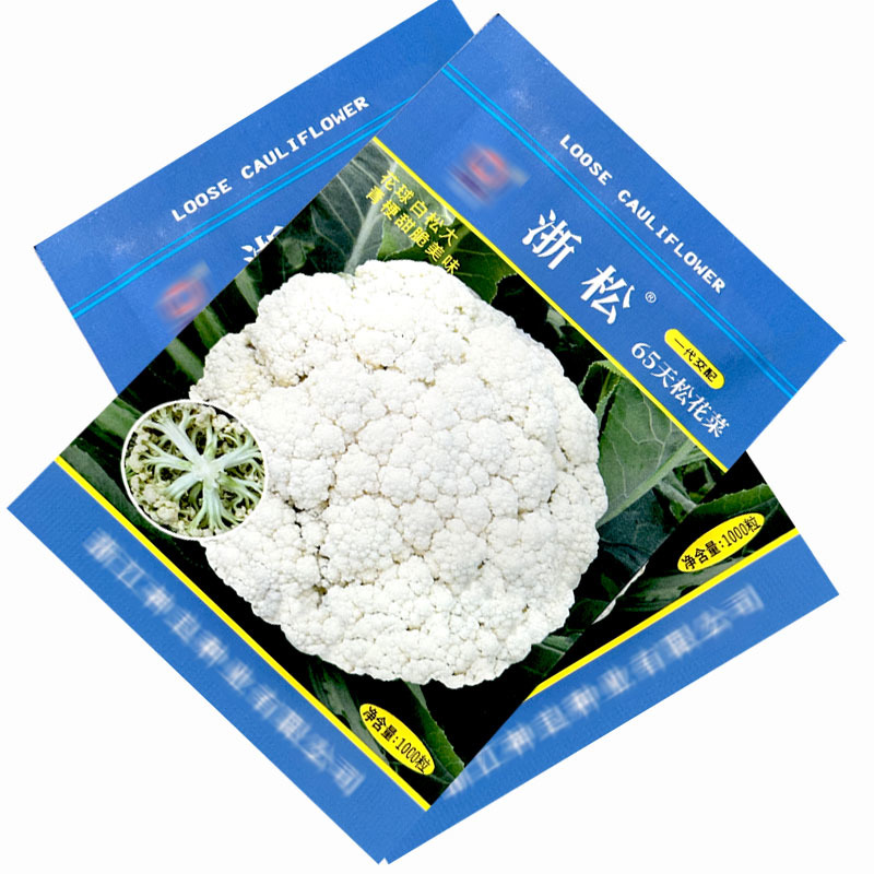 浙松65天青梗花椰菜种子1000粒早中熟耐热白菜花种子