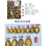 鲍鱼肉新鲜200-300头小鲍鱼速冻海鲜粽子红烧食材批发