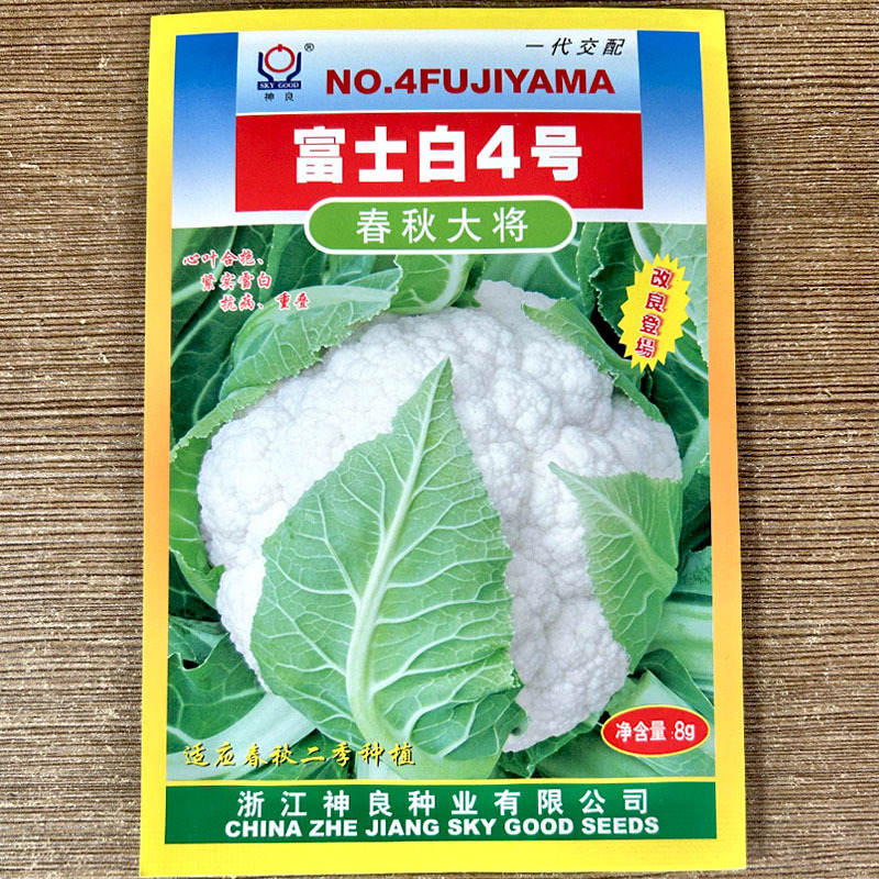富士白4号春秋两季种植8g大将紧实雪白抗病基地品种