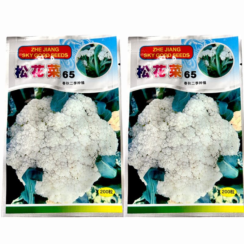 松花65天青梗花椰菜种子200粒耐热耐湿撒花春秋两
