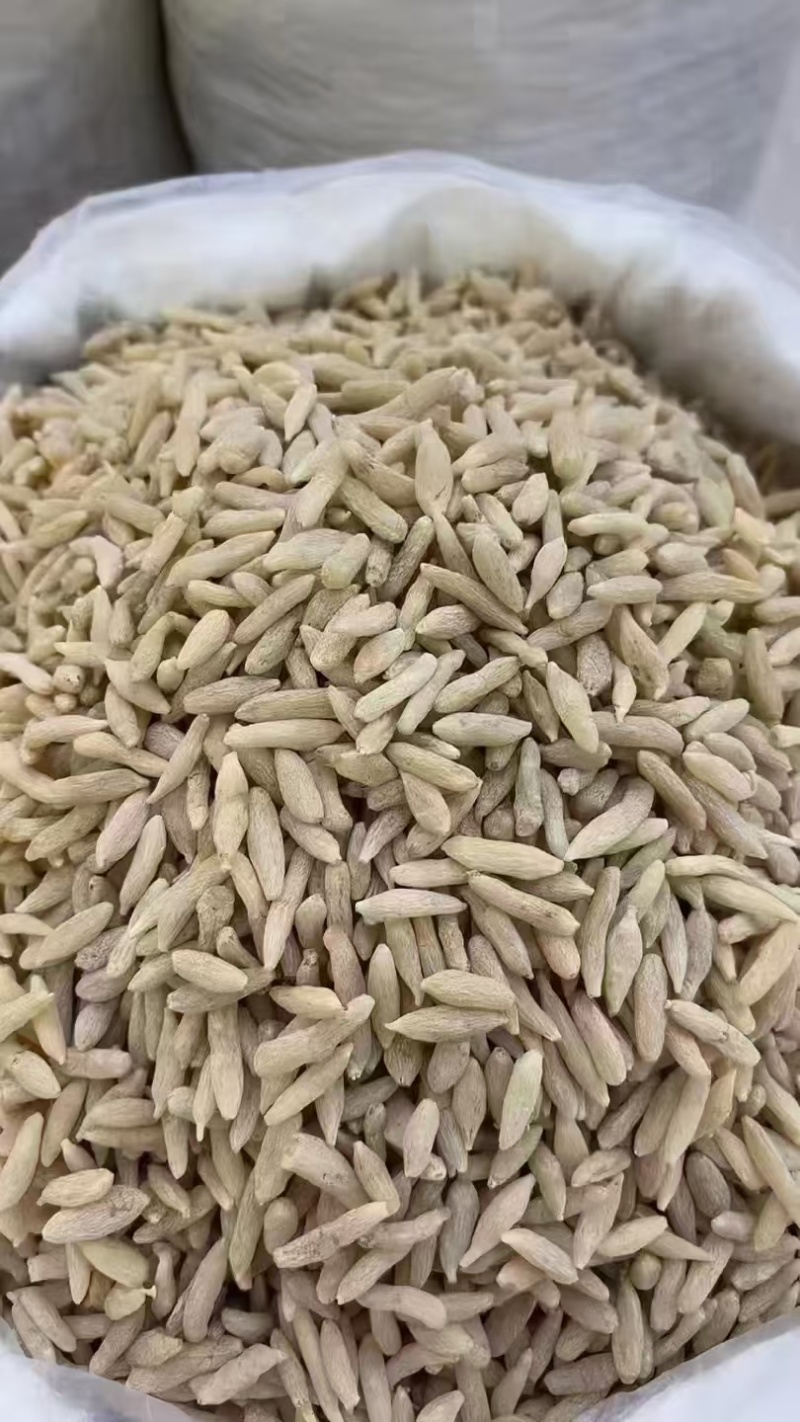 四川麦冬自家种植晾晒烘干一手价格接加工批发代发电商
