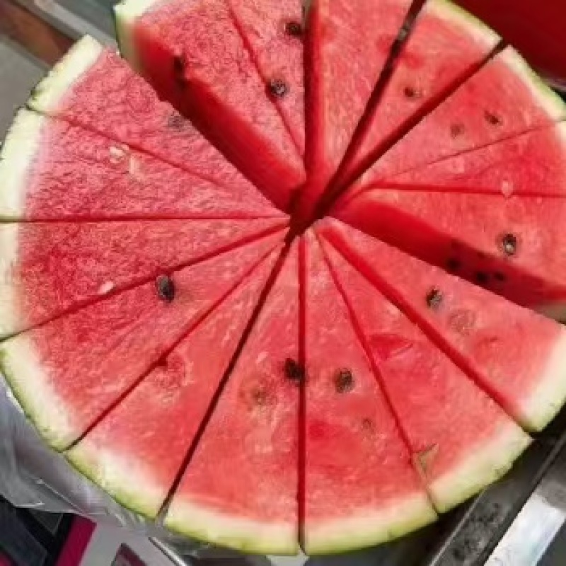 推荐甜王西瓜大西瓜汁多口感甜价格实惠运输便利欢迎联系