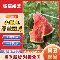 陕西吊兰西瓜手撕瓜产地现货供应，量大从优皮薄多汁代发全国