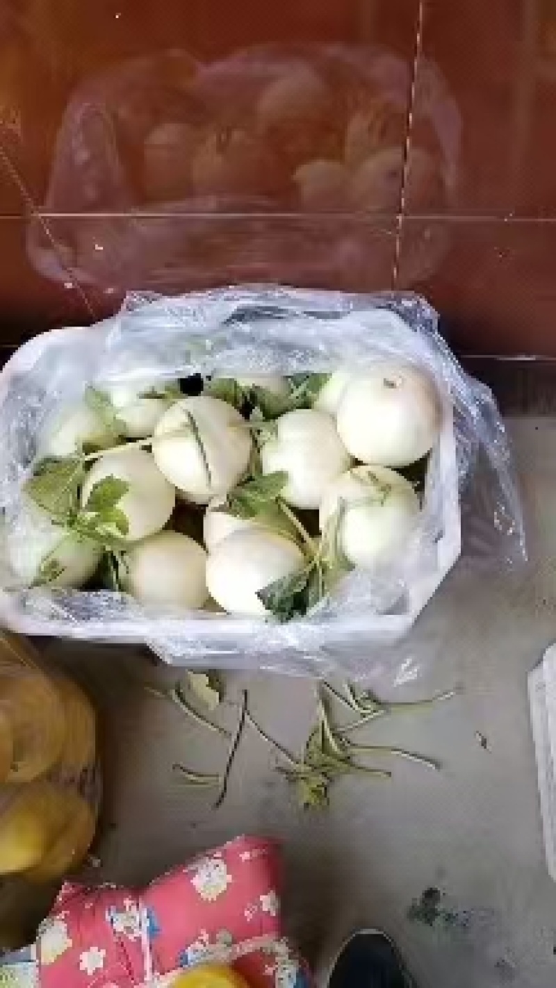 精品甜瓜源头产地，全国可发，价格透明，可视频看货