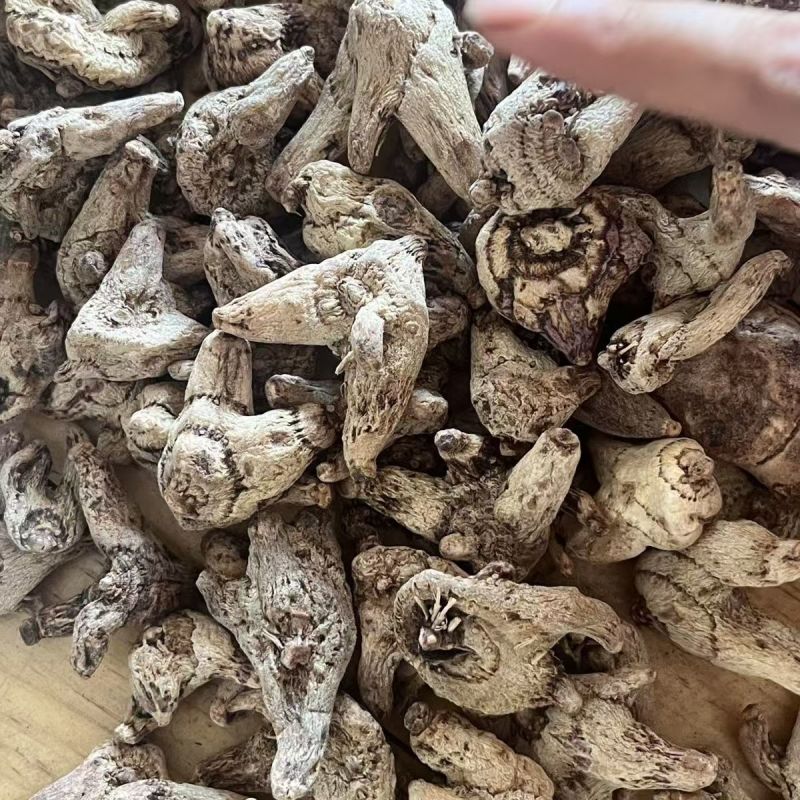 三叉白芨紫花三叉白芨个三叉白芨批发