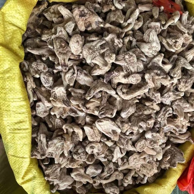 三叉白芨紫花三叉白芨个三叉白芨批发