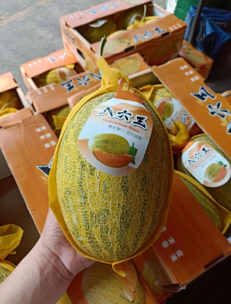 新疆哈密瓜，原产地采摘，八六王，皮薄肉厚，香甜多汁。