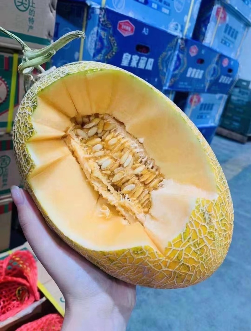 新疆哈密瓜，原产地采摘，八六王，皮薄肉厚，香甜多汁。