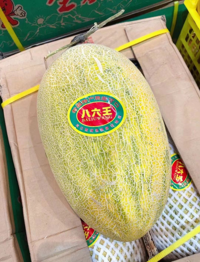 新疆哈密瓜，原产地采摘，八六王，皮薄肉厚，香甜多汁。