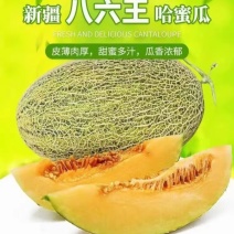 新疆哈密瓜，原产地采摘，八六王，皮薄肉厚，香甜多汁。