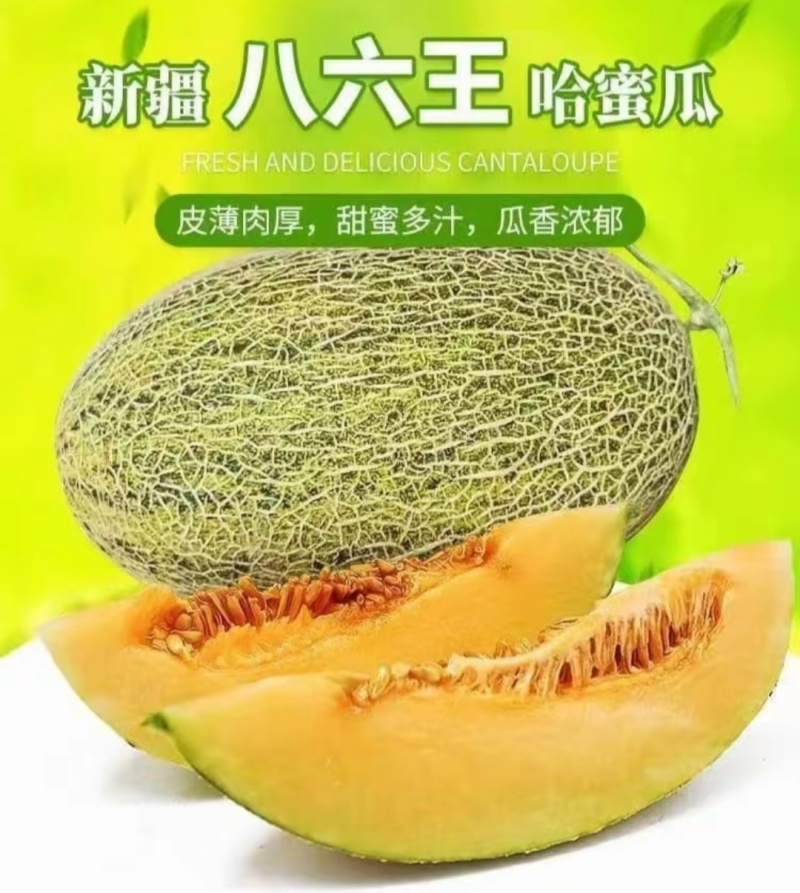 新疆哈密瓜，原产地采摘，八六王，皮薄肉厚，香甜多汁。