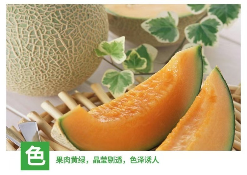 新疆哈密瓜，原产地采摘，西州蜜25号，皮薄肉厚，香甜多汁