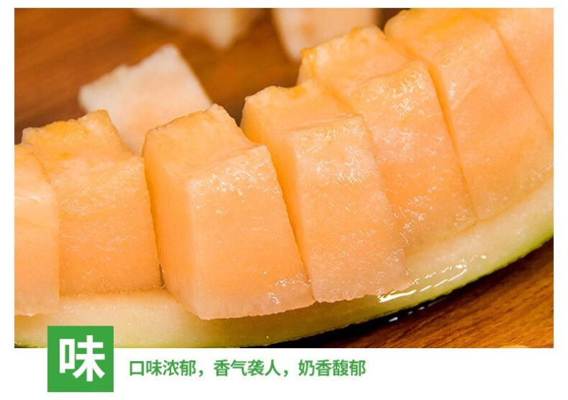 新疆哈密瓜，原产地采摘，西州蜜25号，皮薄肉厚，香甜多汁