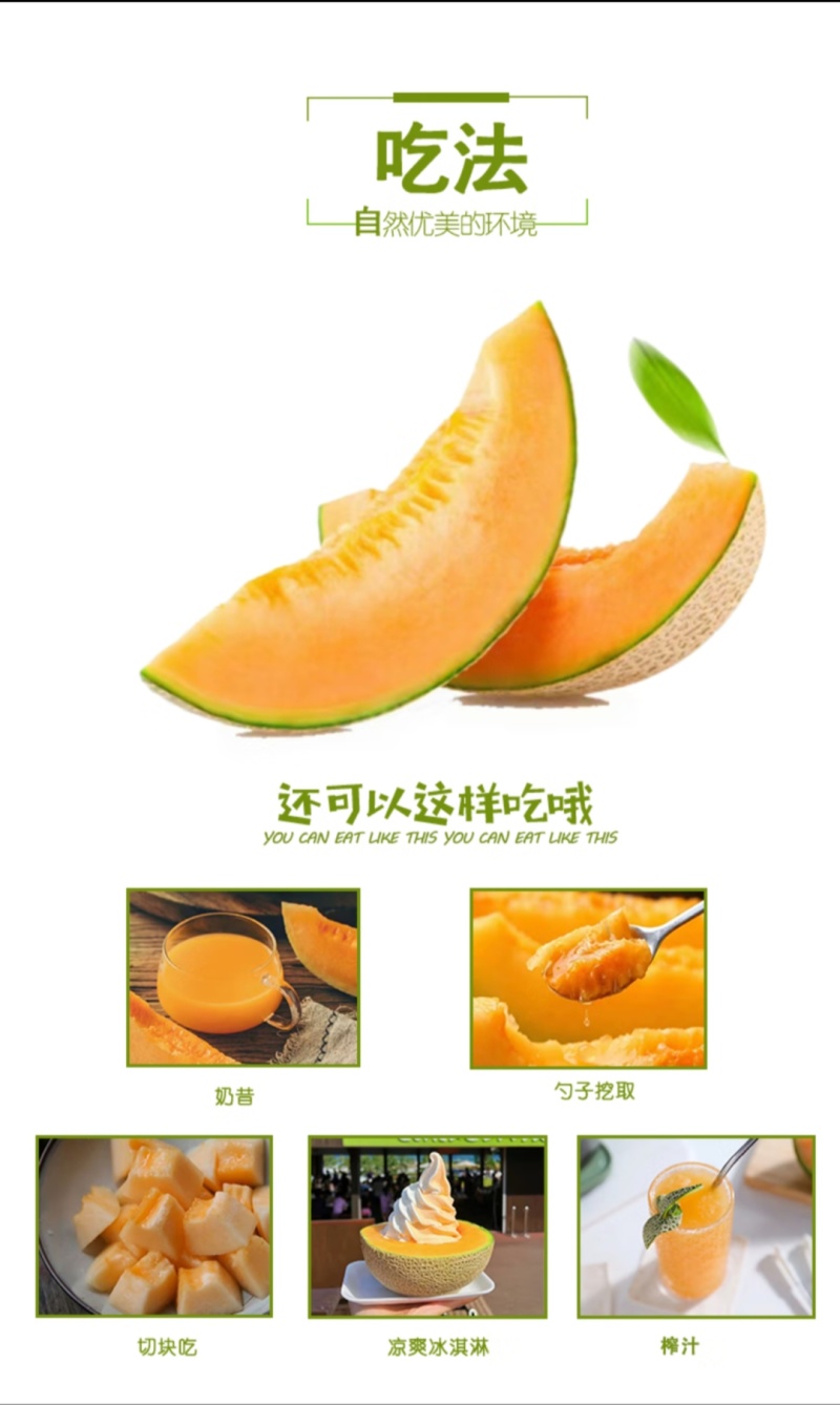 新疆哈密瓜，原产地采摘，西州蜜25号，皮薄肉厚，香甜多汁
