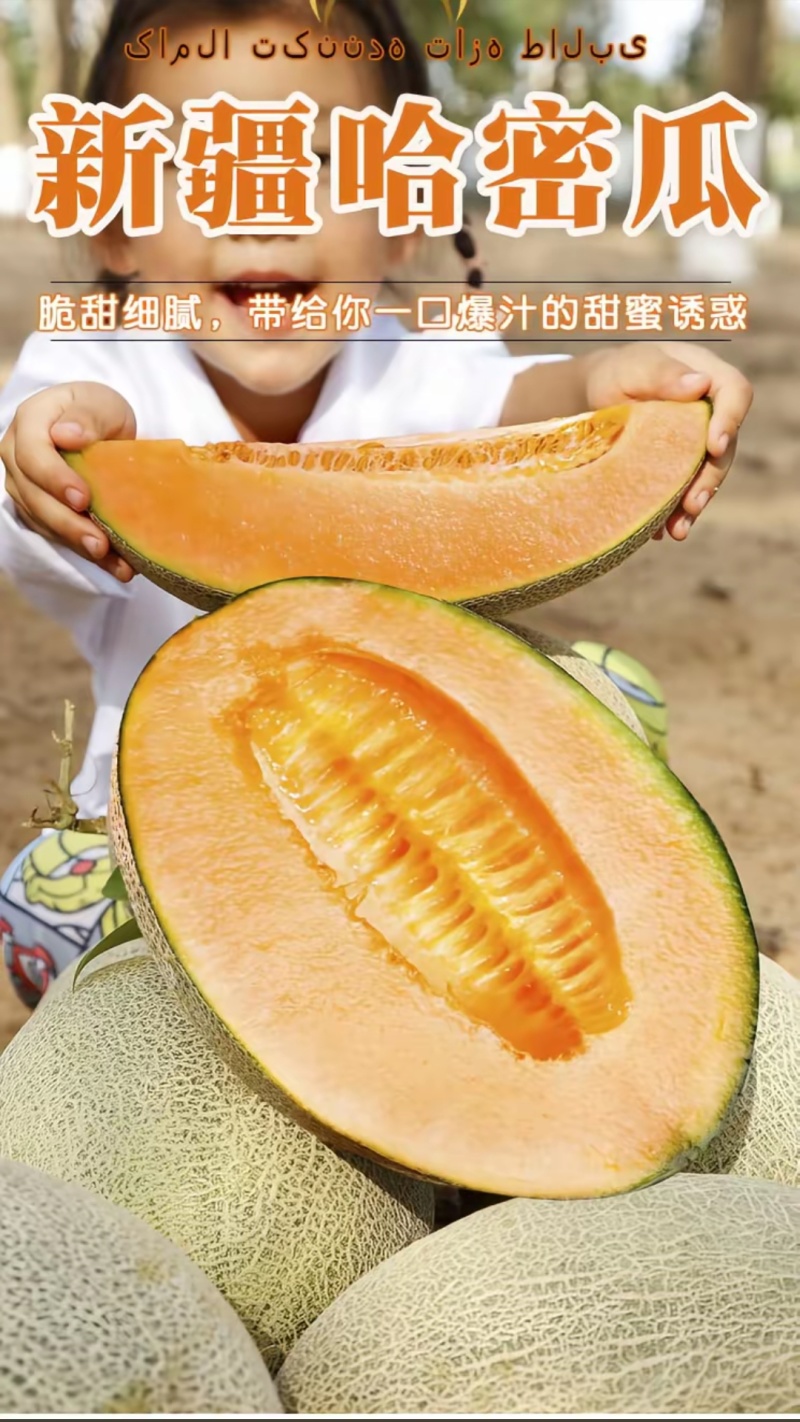 新疆哈密瓜，原产地采摘，西州蜜25号，皮薄肉厚，香甜多汁