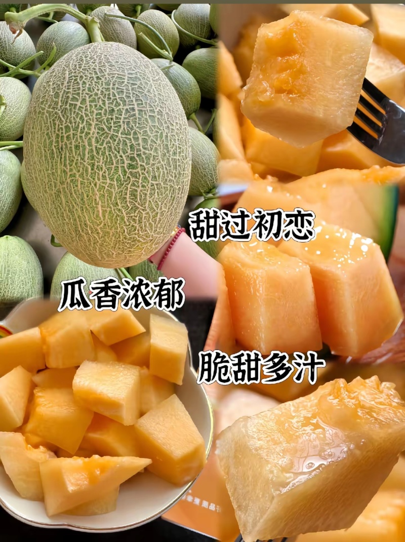 新疆哈密瓜，原产地采摘，西州蜜25号，皮薄肉厚，香甜多汁