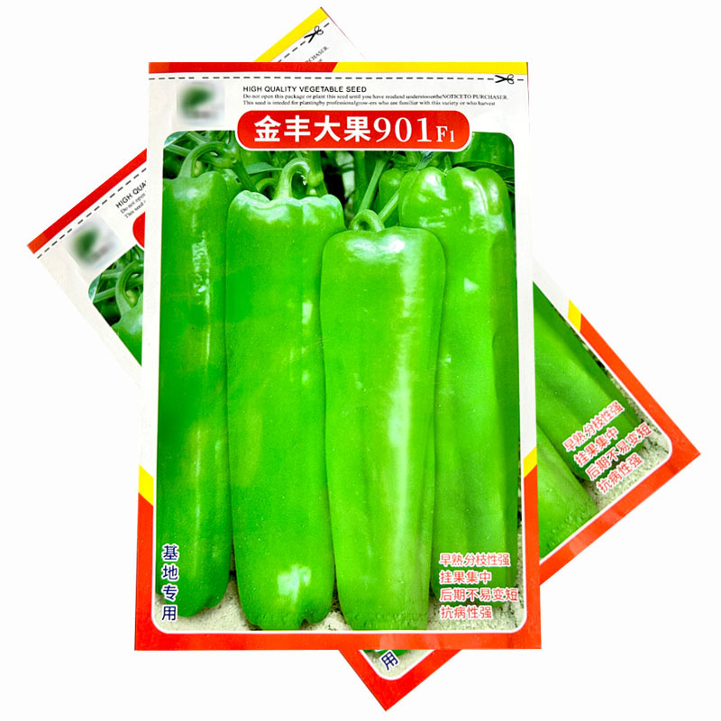 金丰大果901辣椒种子早熟超大果牛角椒种籽果皮光亮嫩果翠