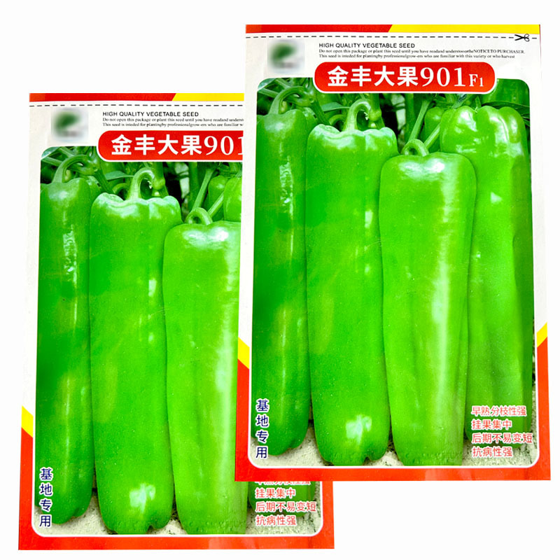 金丰大果901辣椒种子早熟超大果牛角椒种籽果皮光亮嫩果翠