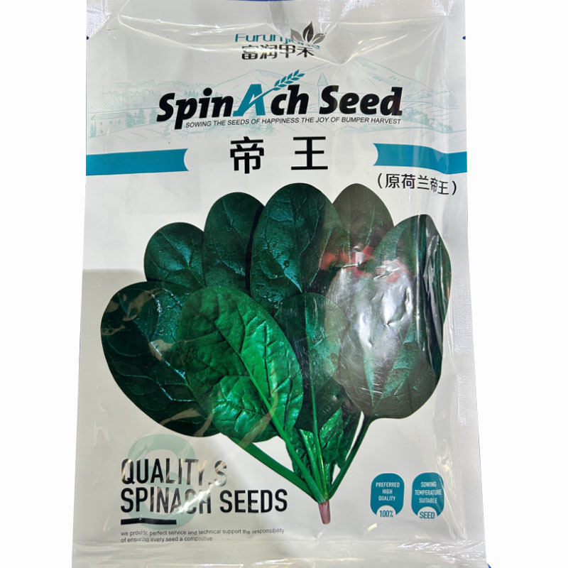 荷兰帝王包菜种子耐热耐寒直立圆叶肉厚易捆扎