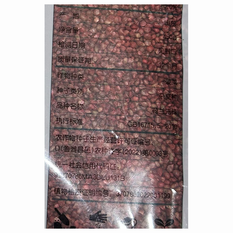 荷兰帝王包菜种子耐热耐寒直立圆叶肉厚易捆扎