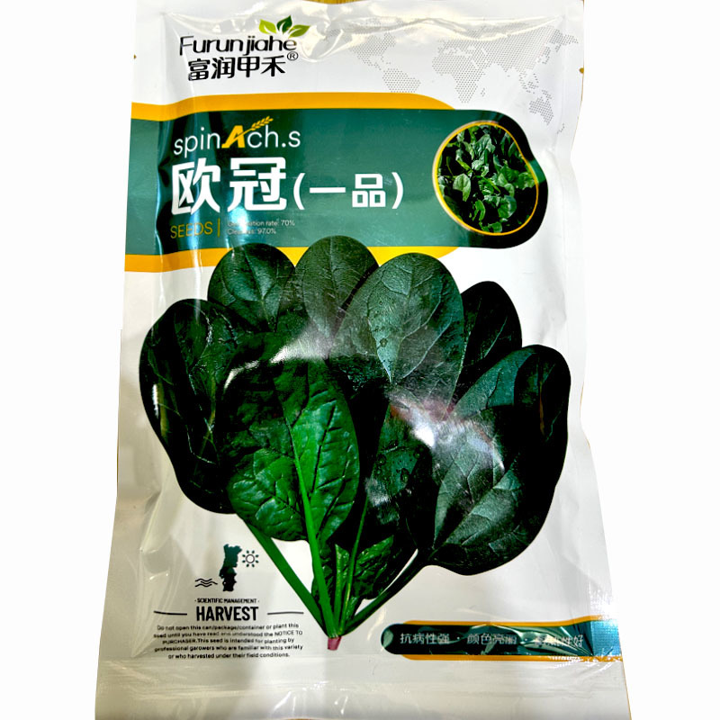 菠菜种子欧冠一品秋菠菜中早熟耐热耐寒抽苔南北方种植