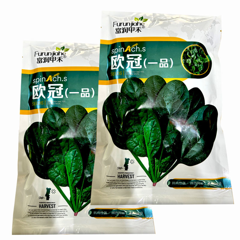 菠菜种子欧冠一品秋菠菜中早熟耐热耐寒抽苔南北方种植