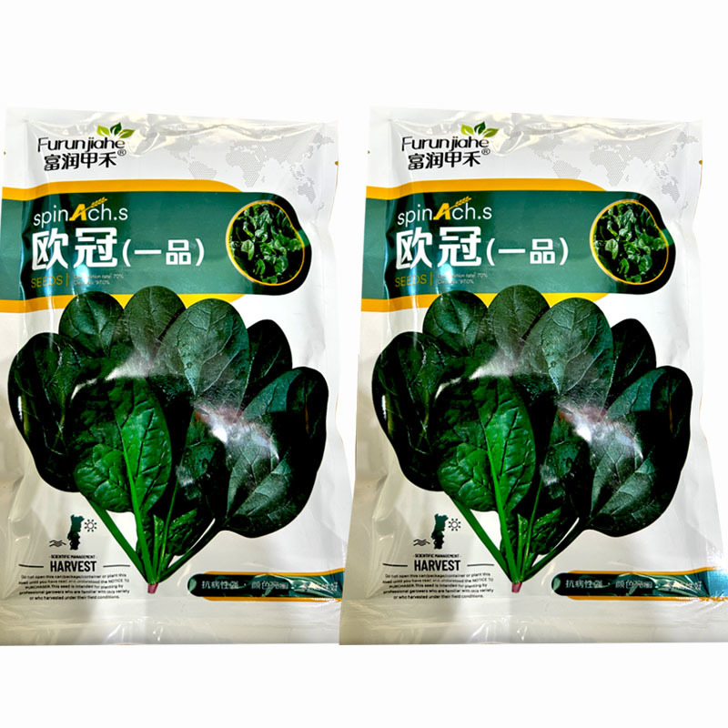 菠菜种子欧冠一品秋菠菜中早熟耐热耐寒抽苔南北方种植