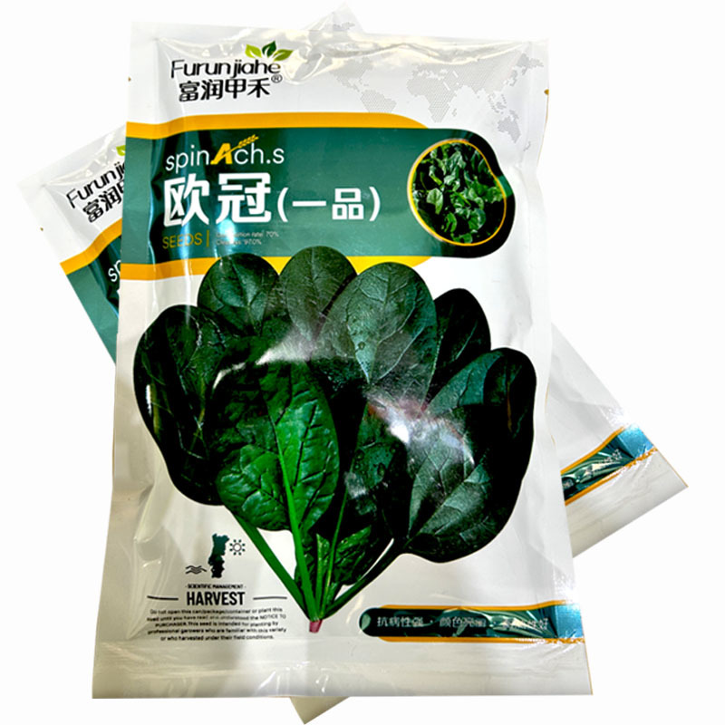 菠菜种子欧冠一品秋菠菜中早熟耐热耐寒抽苔南北方种植