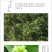 八角大料正宗特级纯干无硫八角粉腌制卤煮香料调料大茴香