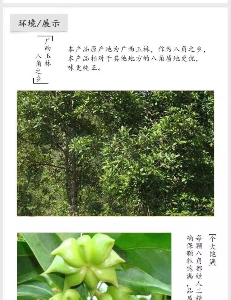 八角大料正宗特级纯干无硫八角粉腌制卤煮香料调料大茴香