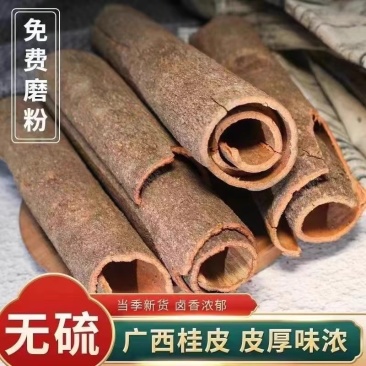 广西桂皮肉桂皮家用商用香料特调味料级卤料