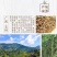 桂皮广西肉桂皮家用商用香料特调味料级卤料